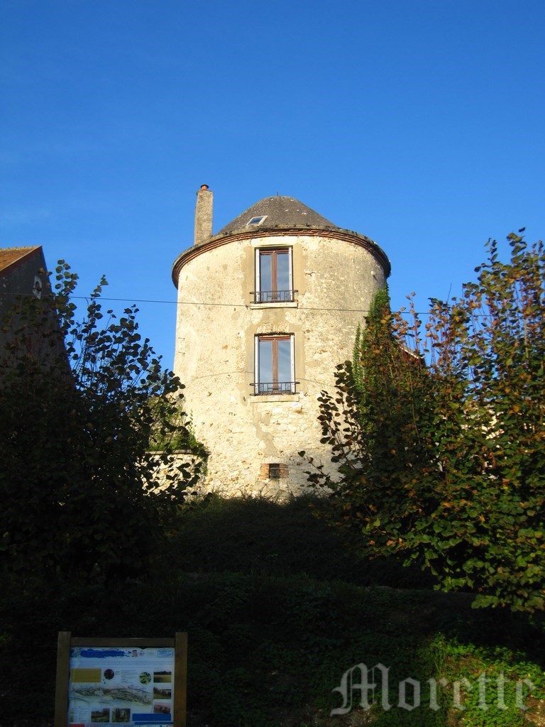 Face aux bourguignons